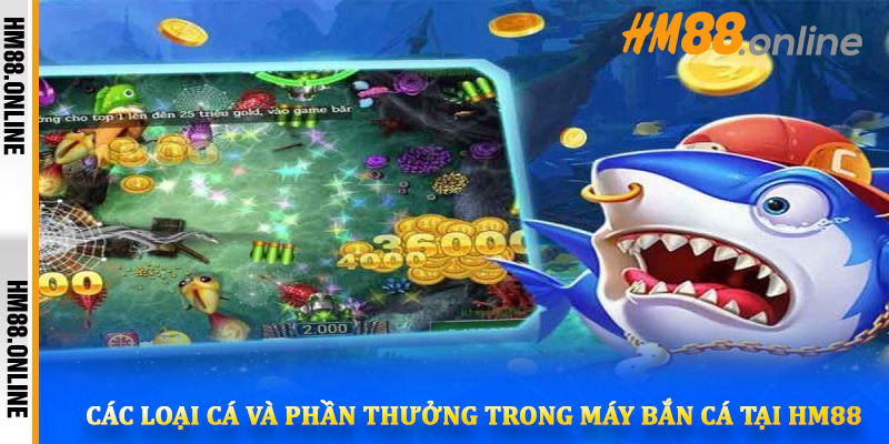 Các loại cá và phần thưởng trong máy bắn cá tại HM88